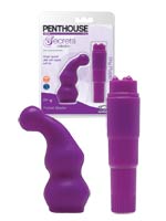 Penthouse Secrets Collection Pocket Blaster - Shy Purple